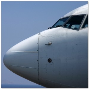 Nose