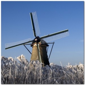 Riet en molen