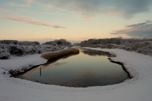 Winter Winter