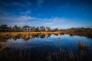 thijs-schouten-eos-r5-7 thijs-schouten-eos-r5-7
