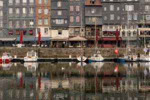 tsf-review-canon-r50-v-2099
