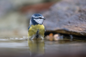 tsf-r6-mark-iii-review-1580 tsf-r6-mark-iii-review-1580