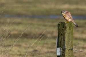 thijs-schouten-fotografie-28