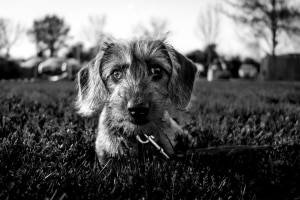 tsf-canon-eos-r8-testfotos-18 tsf-canon-eos-r8-testfotos-18