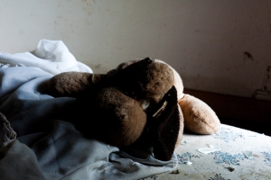 knuffel hond.jpg knuffel hond.jpg