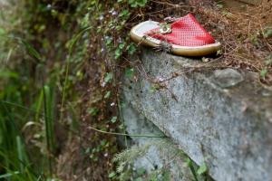 verlaten schoentje.jpg verlaten schoentje.jpg