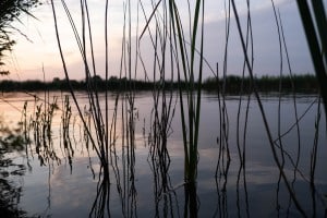 tsf-review-fujifilm-xs20-20 tsf-review-fujifilm-xs20-20