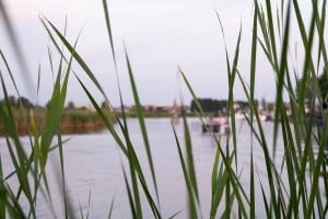 tsf-review-fujifilm-xs20-23 tsf-review-fujifilm-xs20-23