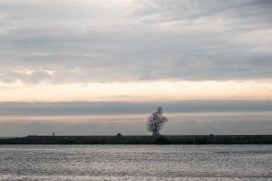 tsf-review-fujifilm-xs20-32 tsf-review-fujifilm-xs20-32