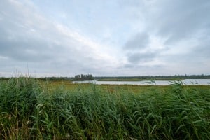 tsf-review-fujifilm-xs20-37 tsf-review-fujifilm-xs20-37