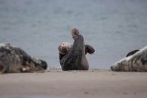 thijs-schouten-helgoland-18 thijs-schouten-helgoland-18