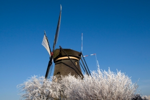 kinderdijk_54.jpg