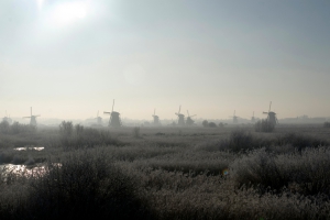 kinderdijk_83.jpg