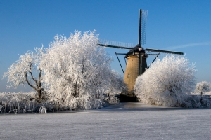 molen met winterse bomen.jpg