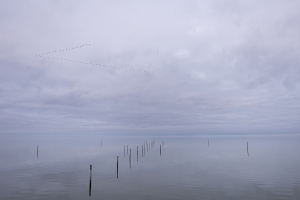 tsf-landschap- tsf-landschap-