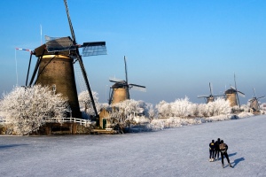 tsf-landschap-2 tsf-landschap-2