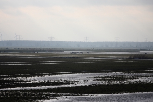 Dutch landscape