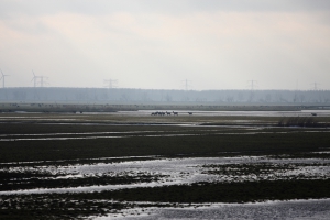 Dutch landscape Dutch landscape