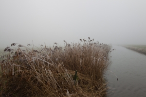 _SCH0231.jpg _SCH0231.jpg