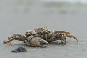 thijs-schouten-sony-a6400-5 thijs-schouten-sony-a6400-5