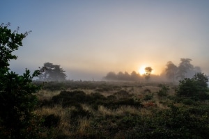 tsf-review-sony-a6700-cn-5771 tsf-review-sony-a6700-cn-5771