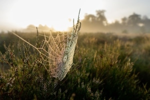 tsf-review-sony-a6700-cn-5889 tsf-review-sony-a6700-cn-5889