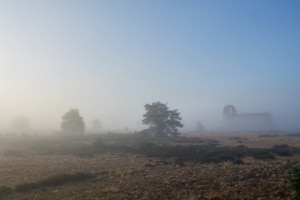 tsf-review-sony-a6700-cn-5980 tsf-review-sony-a6700-cn-5980