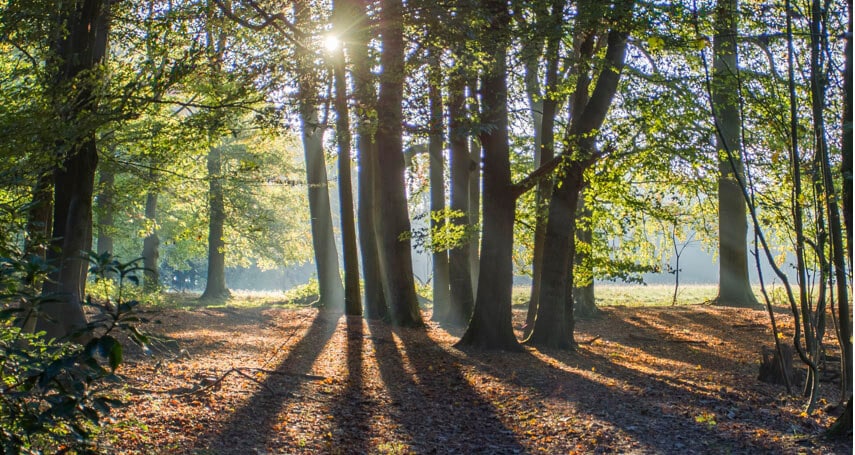 hoe maak ik een hdr foto