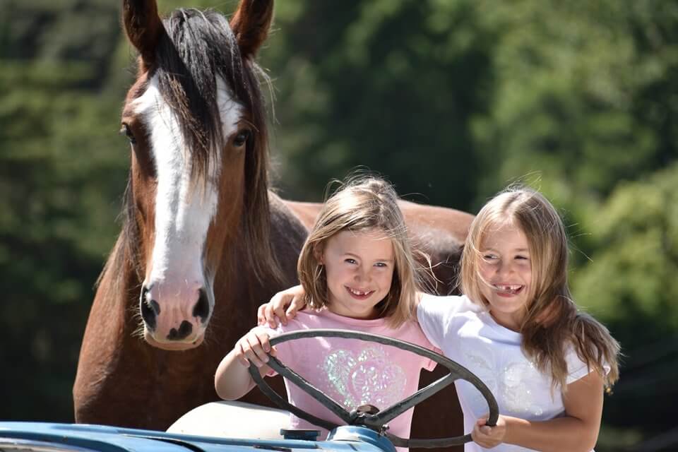 nikon_nikkor_lens_children_horse_DX70-300mm_F45-63G_VR_01_0482_A4--sample-960-large