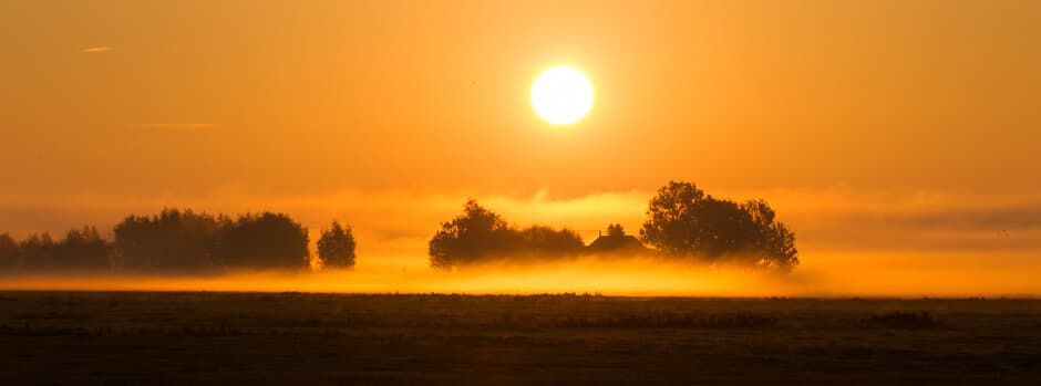 thijs_schouten_tamron_150-600mm_g2_review_mist