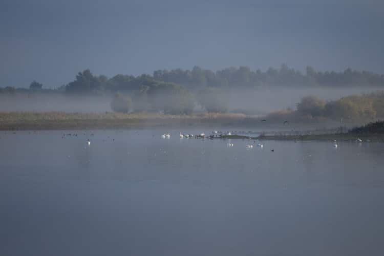 thijs_schouten_tamron_150-600mm_g2_reviewtest-1