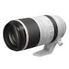 canon rf 100-500mm telelens