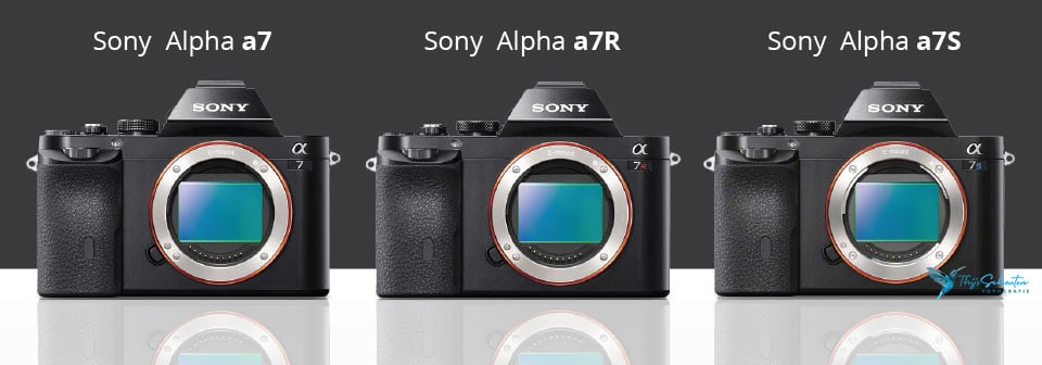 difference between sony a7 and a7r