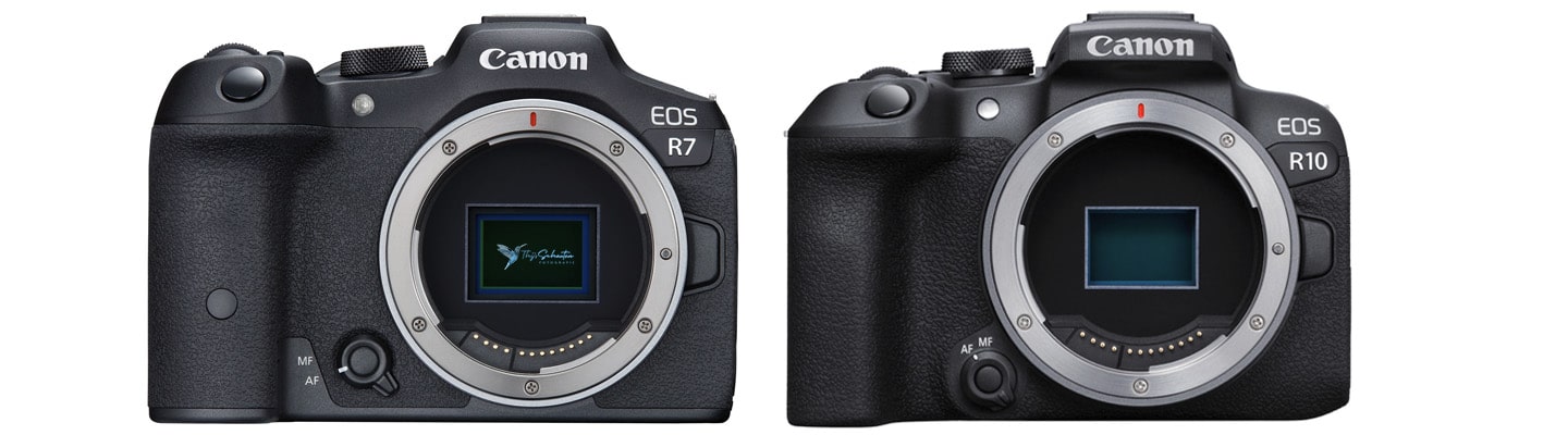 Canon EOS R10 en Canon EOS R7 APS-C systeemcamera's