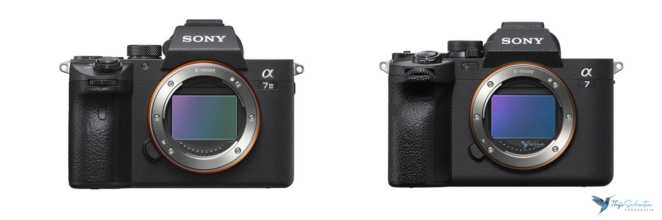 sony a7iv vs a7iii