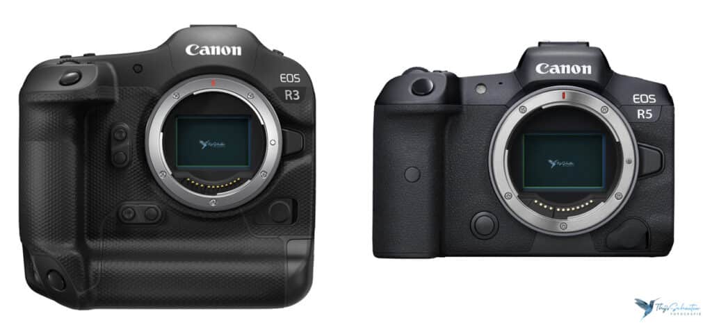 Canon EOS R5 vs Canon EOS R3, alle verschillen naast elkaar