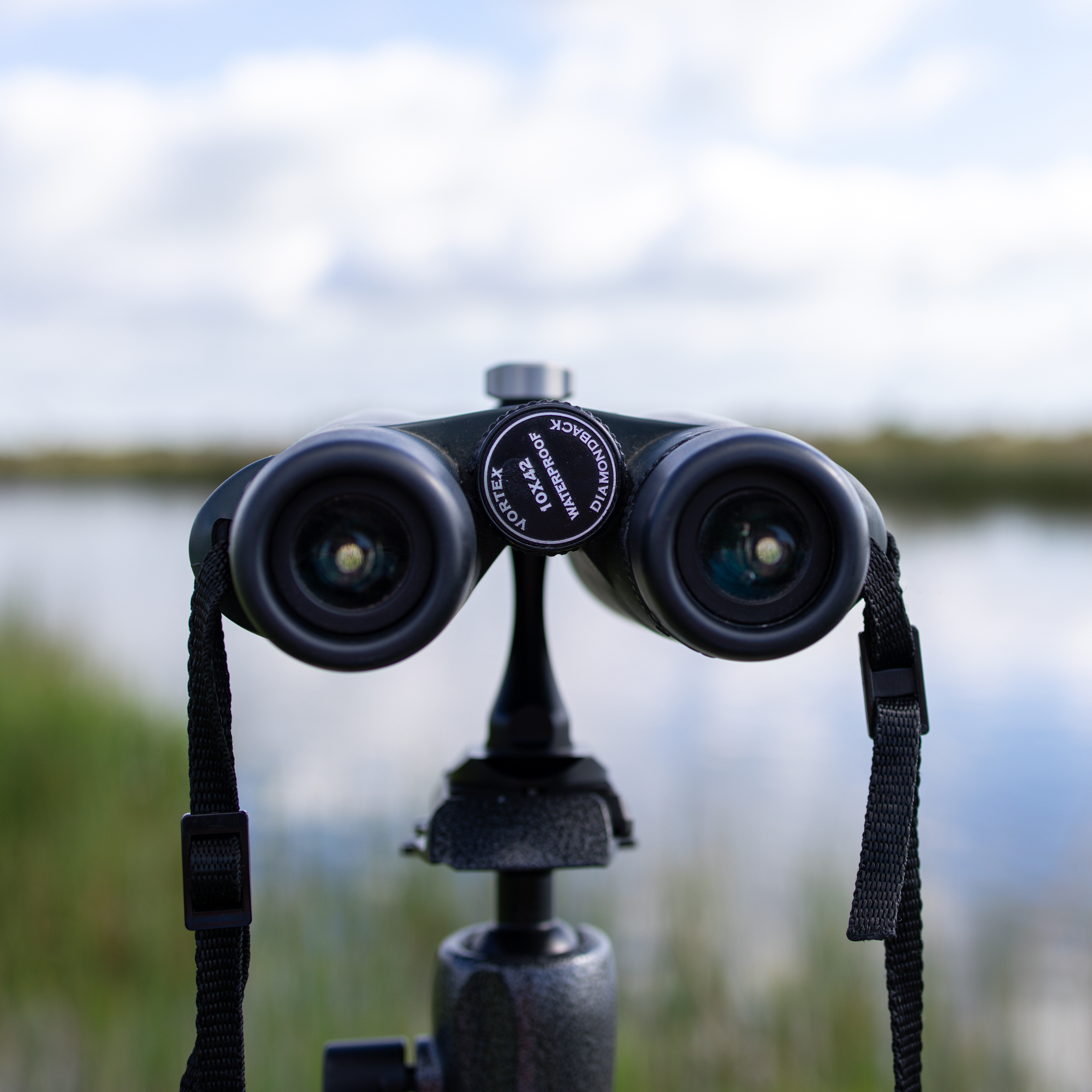Caruba Binocular Mount Quick Release