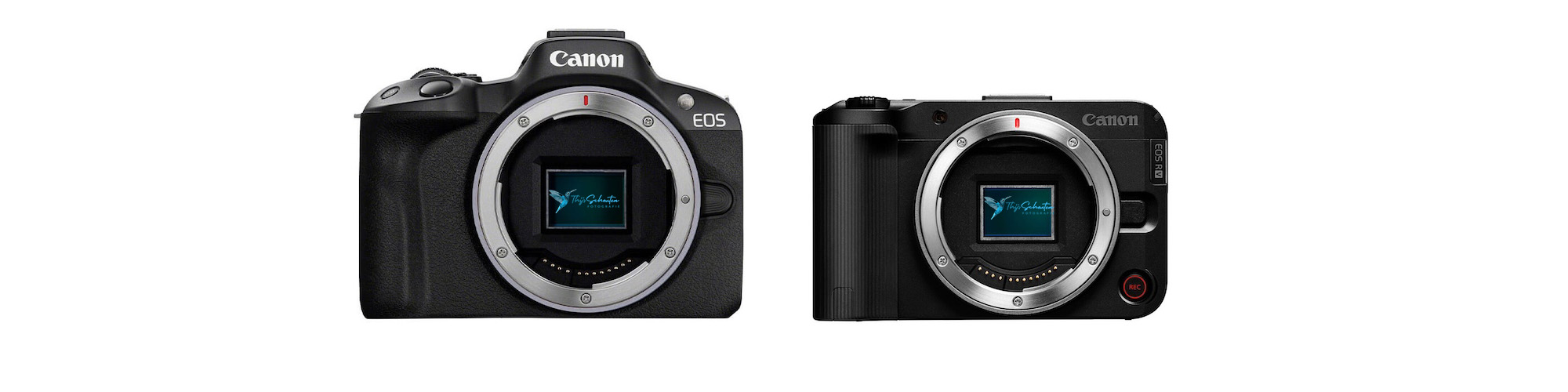 Canon EOS R50 vs R50 v