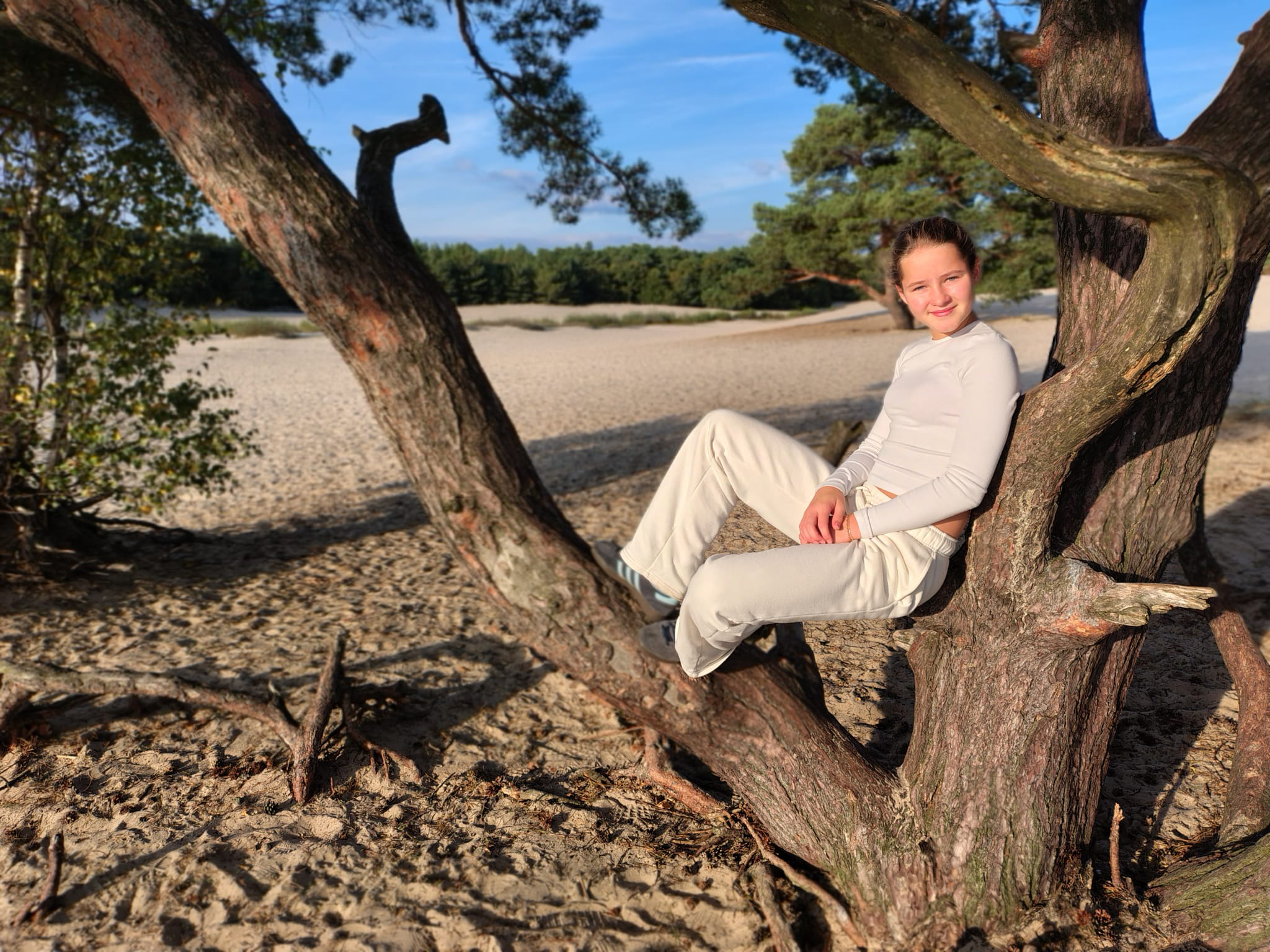 welke foto gemaakt met smartphone
