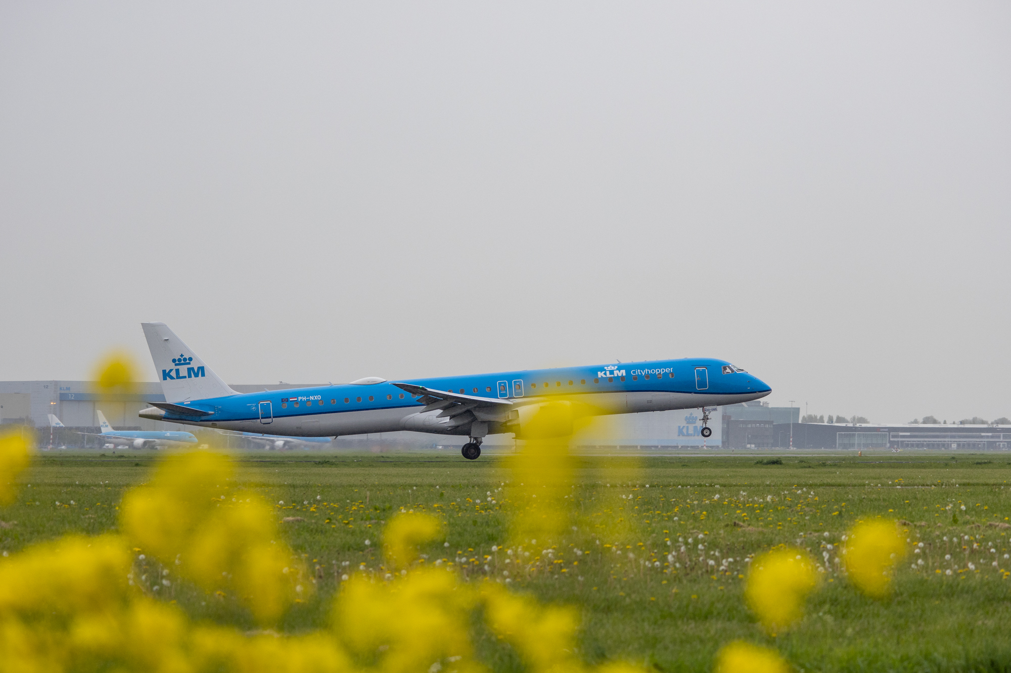 landing klm op schiphol met bloemen