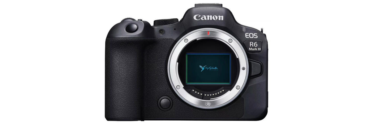 Canon EOS R6 mark III systeemcamera