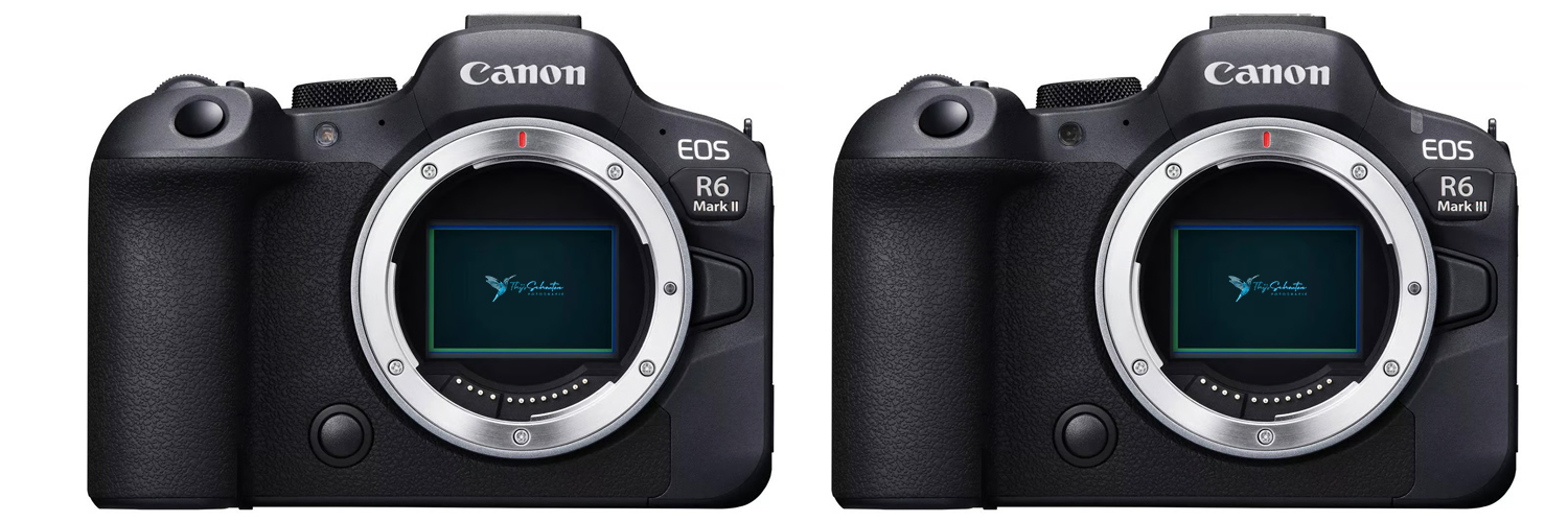 Canon eos r6 ii vs r6 iii