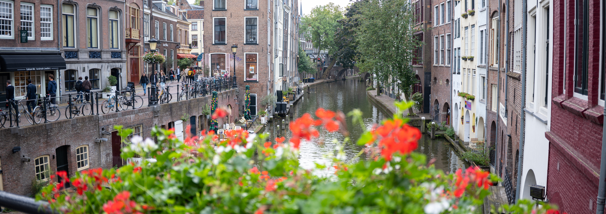 voorbeeld foto gfx 100 rf