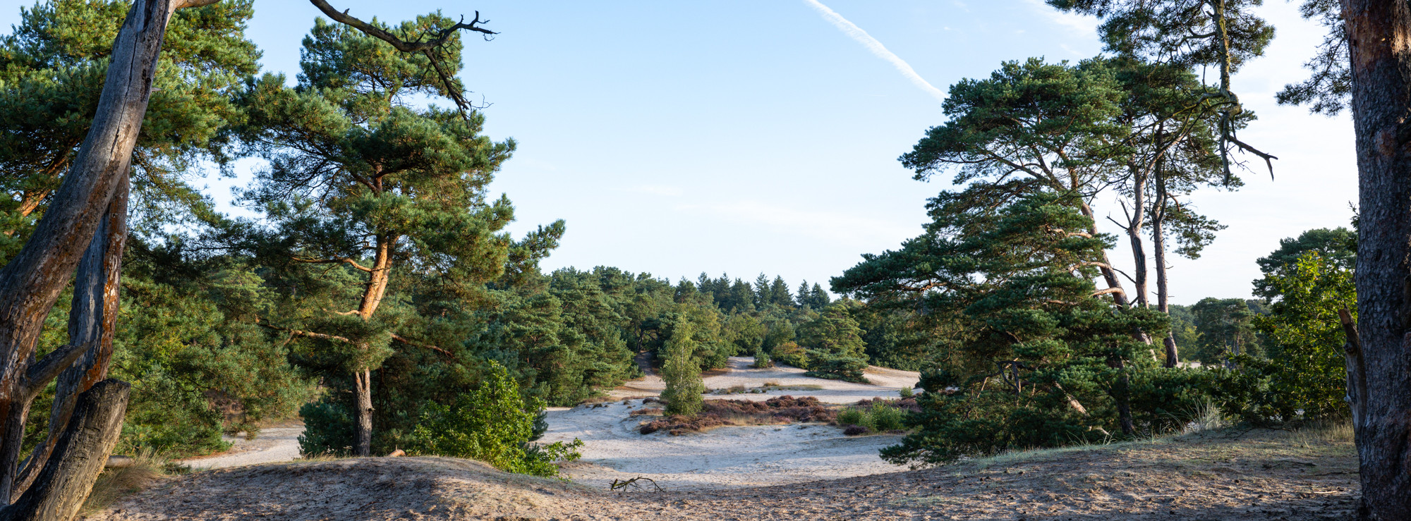 Voorbeeld panorama Fujifilm GFX 100RF