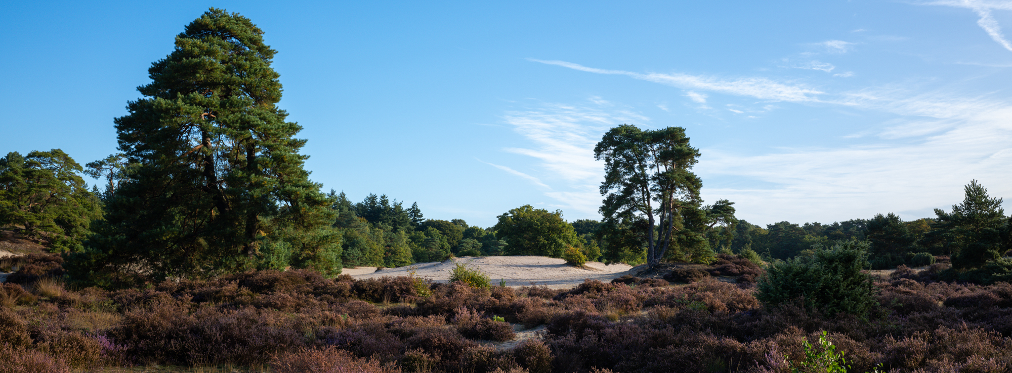 panorama soesterduinen