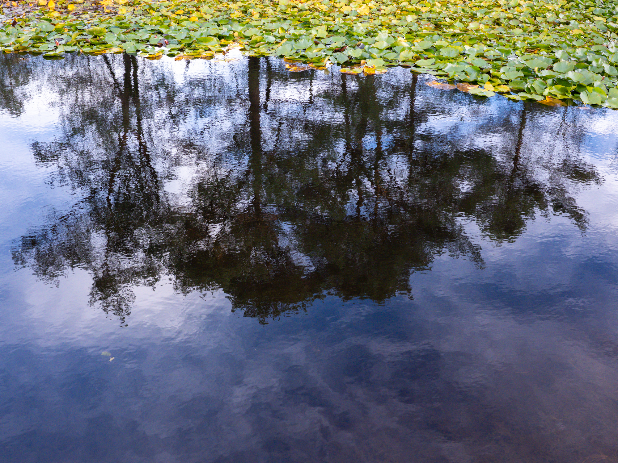 review Fujifilm GFX 100RF