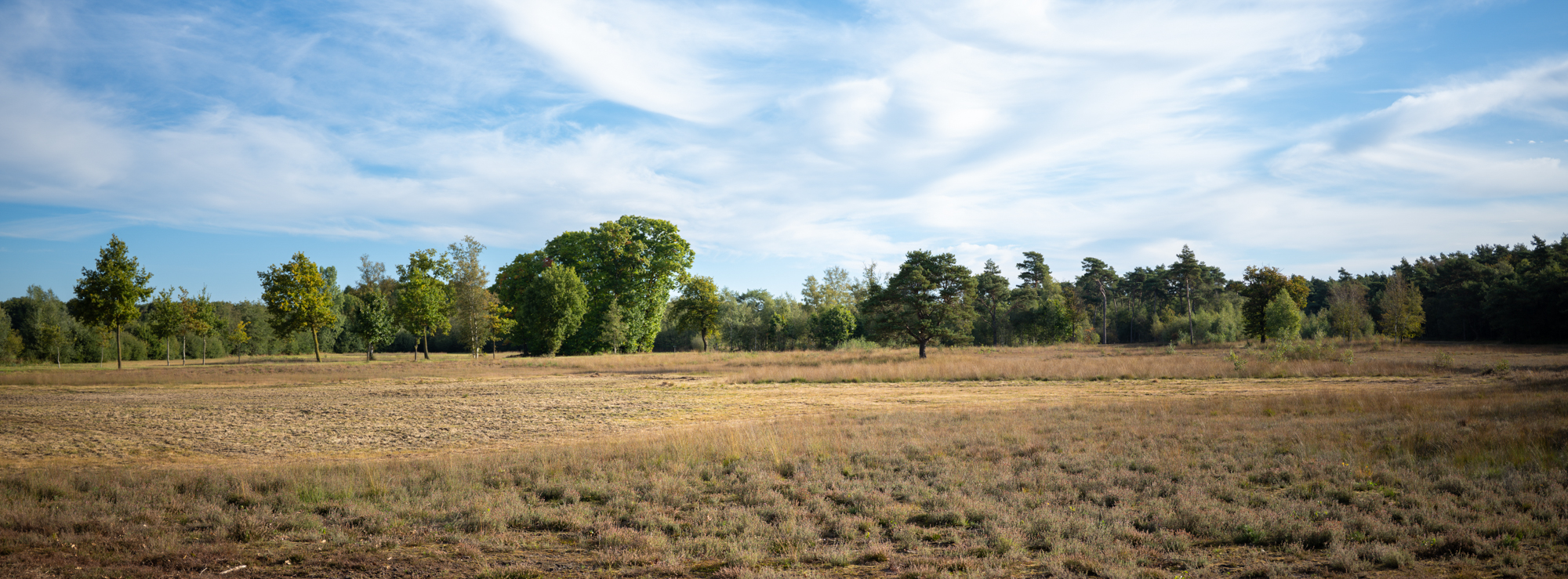 Landgoed Appel