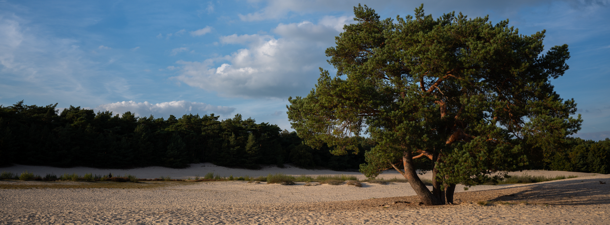 Voorbeeld panoramafoto Fujifilm GFX 100RF