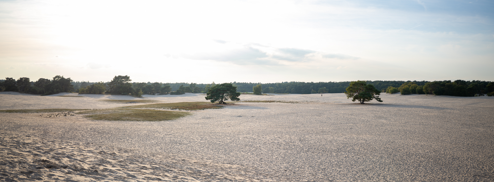 Soesterduinen