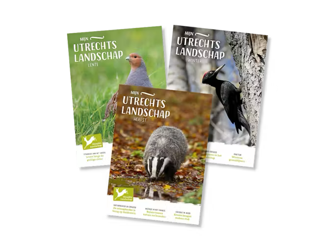 magazine mijn utrechts landschap